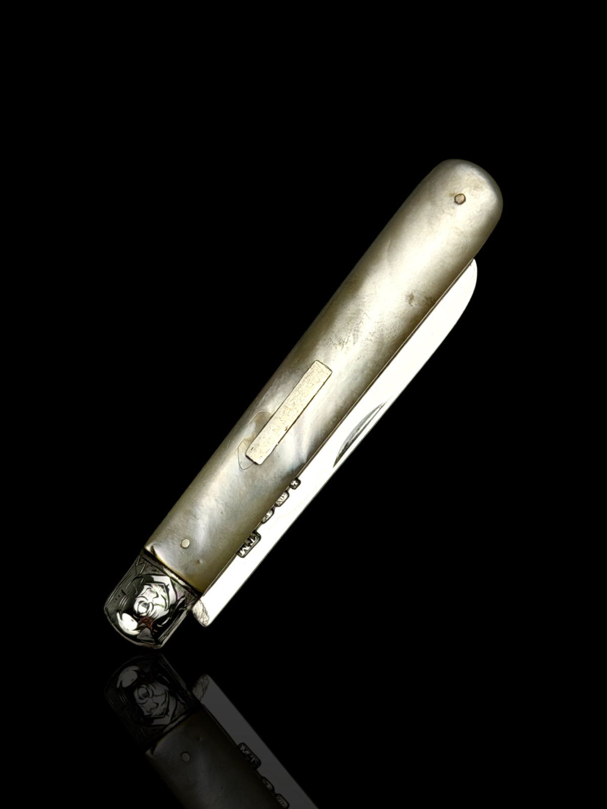 Fruit Knife by Thomas Marples, 1884