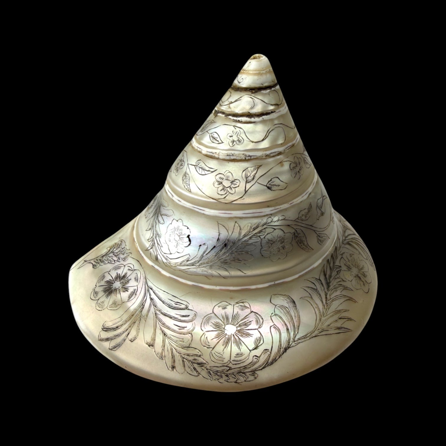 Hand-engraved Top Shell. 19th Century.