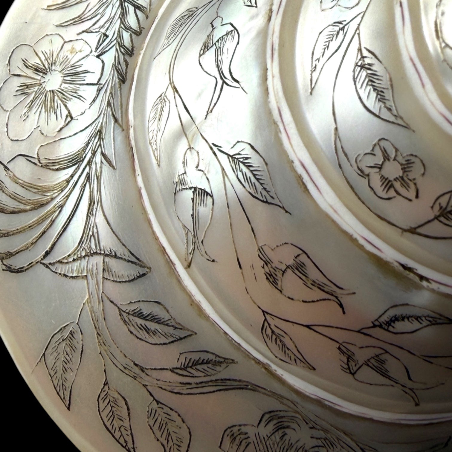 Hand-engraved Top Shell. 19th Century.