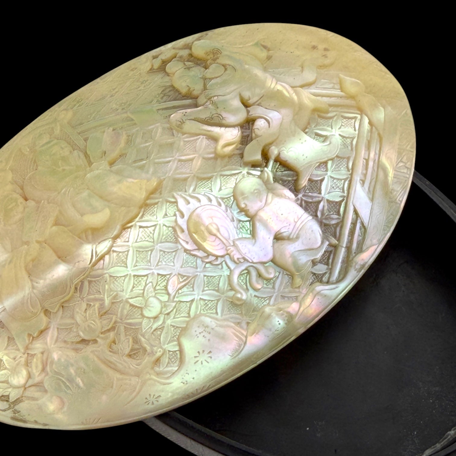 Qing Dynasty Carved Nautilus Shell Box