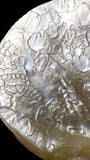 A Qing Dynasty (Late 1800s) Hand-Carved Pearl Shell. With stand.