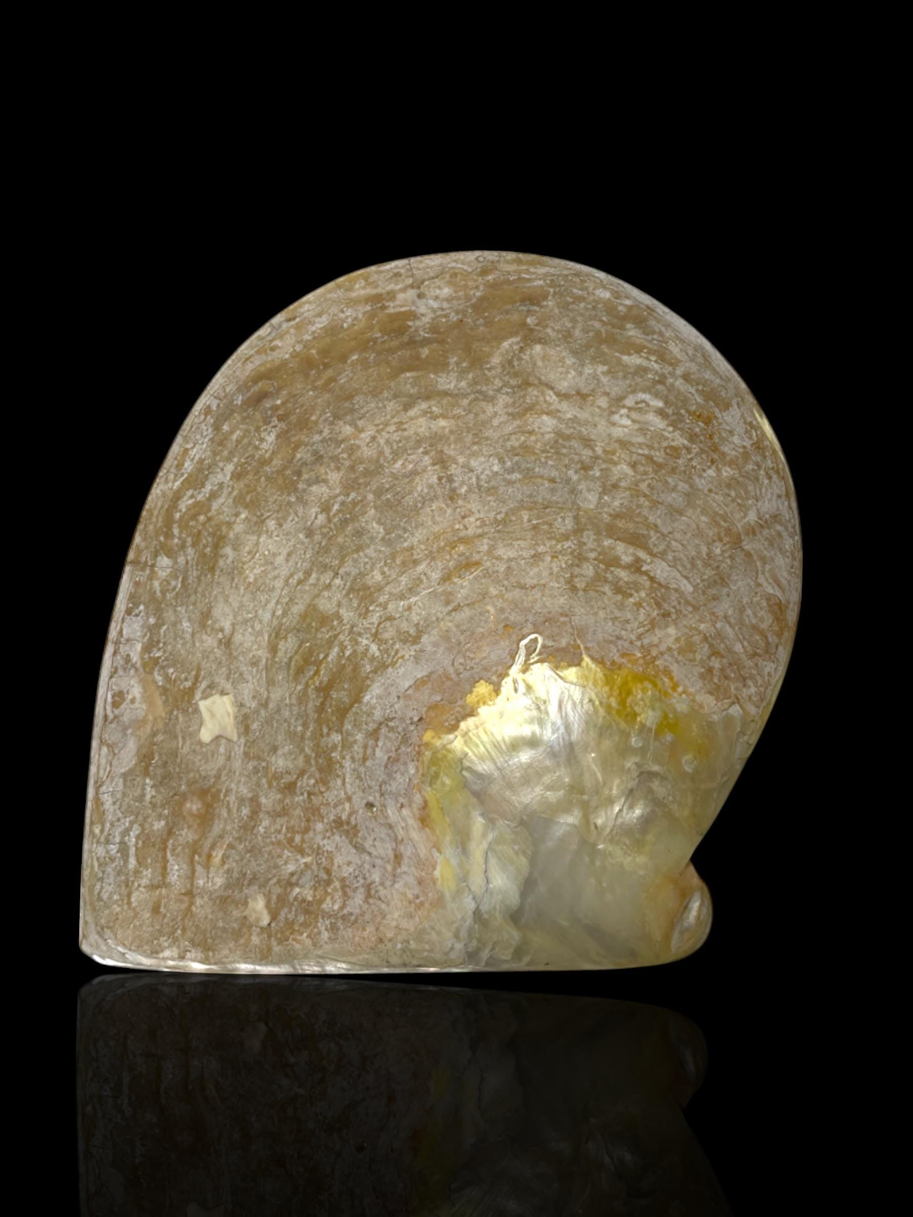 French Polynesian Hand-Carved Pearl Shell. With Stand.