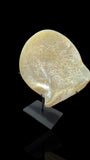 A Qing Dynasty (Late 1800s) Hand-Carved Pearl Shell. With stand.