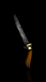 Antique Indian Horn-Handled Knife. Silver Sheath. Circa 1900.