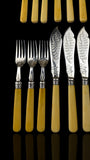 24pc Fish Cutlery Set in Impressive Presentation Case. Mother of Pearl and Silver Plate.