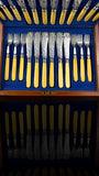 24pc Fish Cutlery Set in Impressive Presentation Case. Mother of Pearl and Silver Plate.