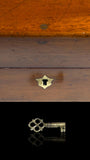 Antique Mahogany Shotgun Cartridge Case with Key - 84 Shell Capacity.