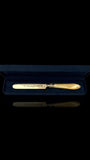 Antique Letter Opener or Butter Knife. 1867, Sterling Silver and MOther of Pearl. Cased.