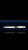 Antique Letter Opener or Butter Knife. 1902, Mother of Pearl and Sterling Silver. Cased.