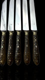Antique French Ebony Knife Set. Ebony and Silver Plate. France, cira 1880-1910