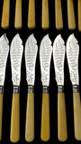 24pc Fish Cutlery Set in Impressive Presentation Case. Mother of Pearl and Silver Plate.