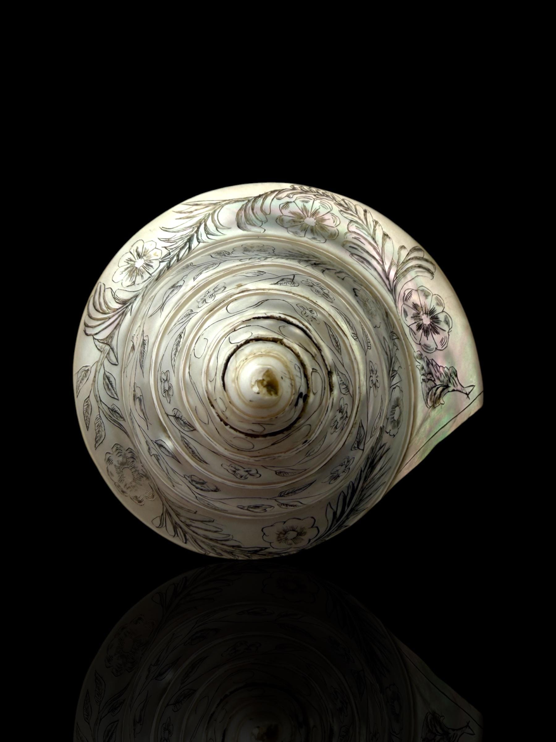 Hand-engraved Top Shell. 19th Century.