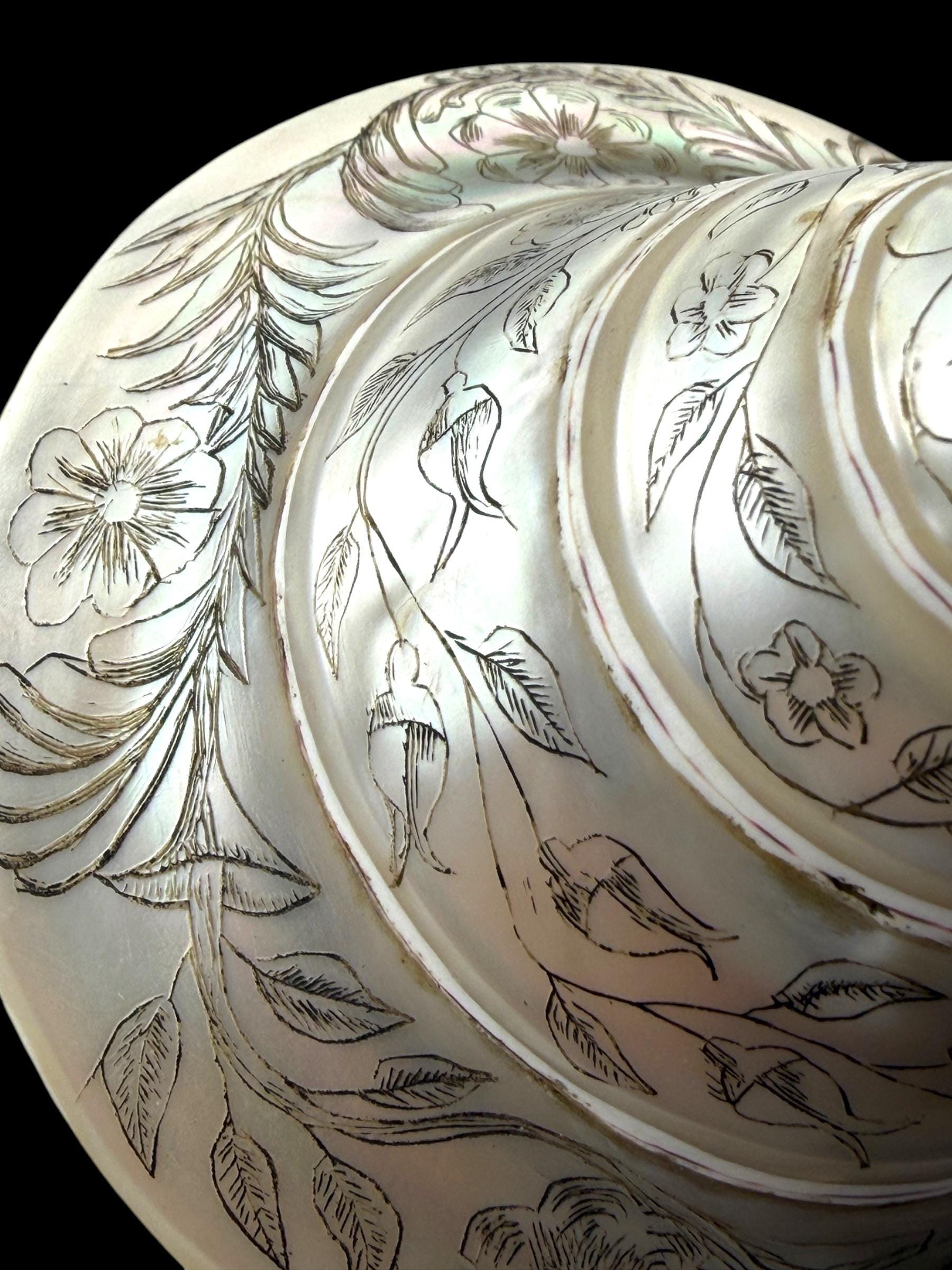Hand-engraved Top Shell. 19th Century.