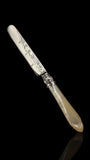Antique Letter Opener or Butter Knife. 1867, Sterling Silver and MOther of Pearl. Cased.