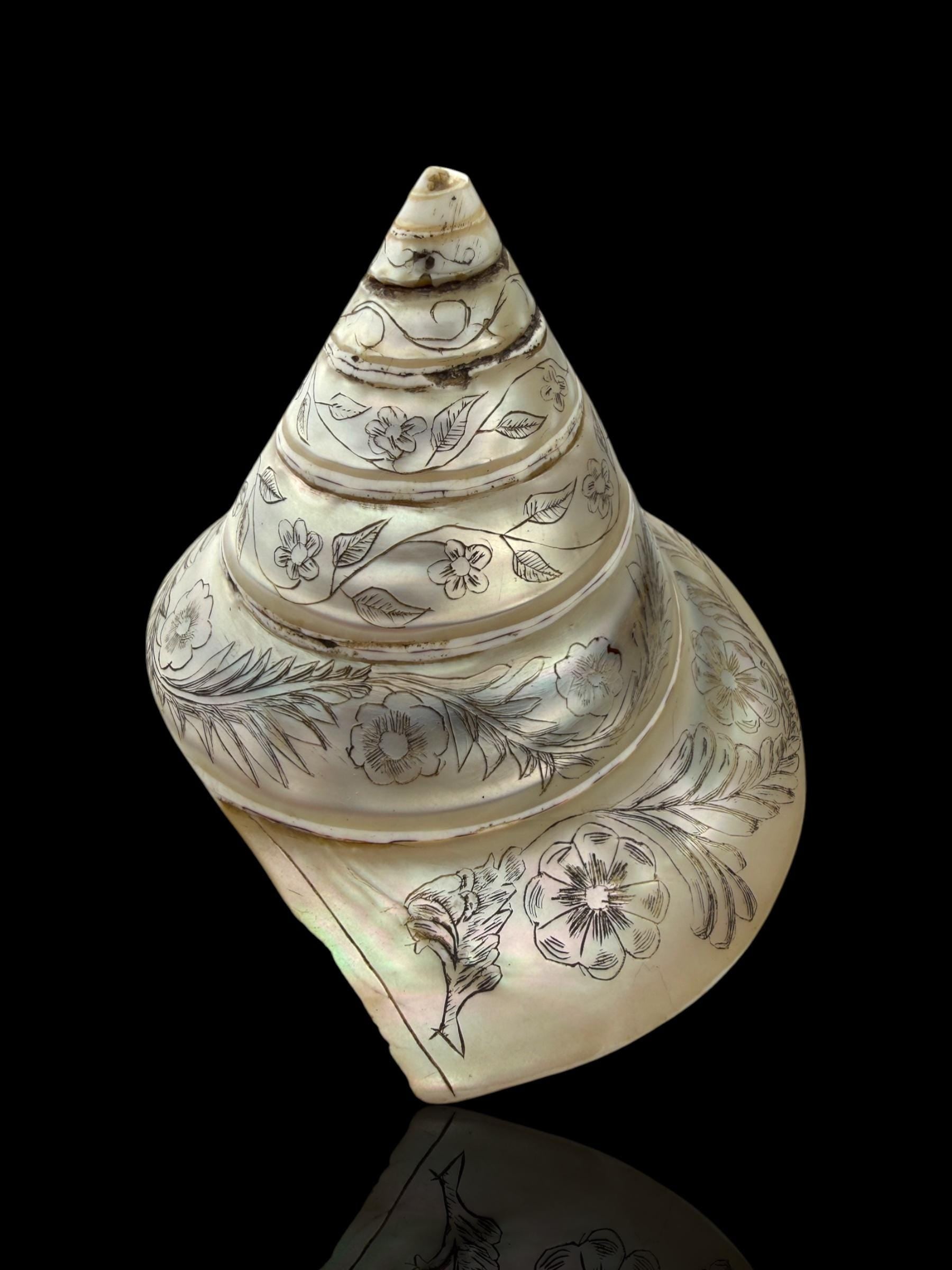Hand-engraved Top Shell. 19th Century.