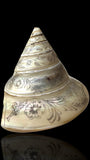 Hand-engraved Top Shell. 19th Century.