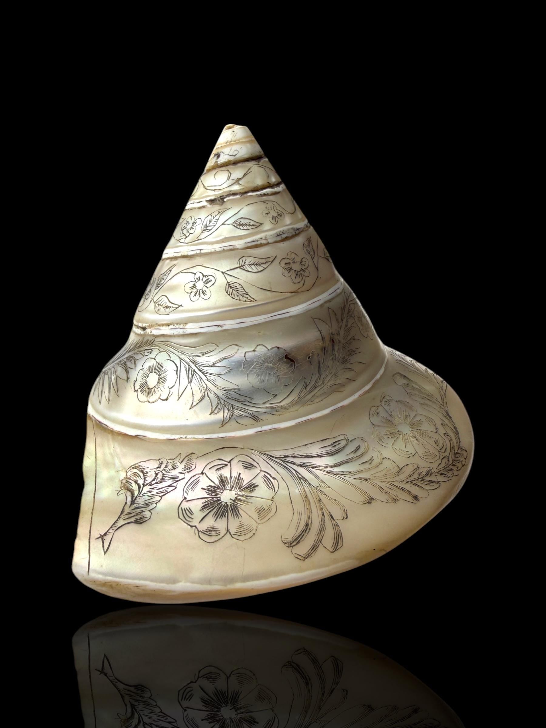Hand-engraved Top Shell. 19th Century.