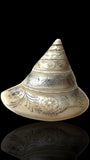 Hand-engraved Top Shell. 19th Century.