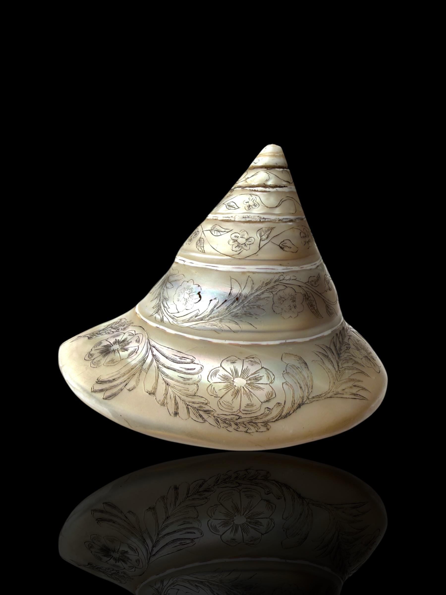 Hand-engraved Top Shell. 19th Century.