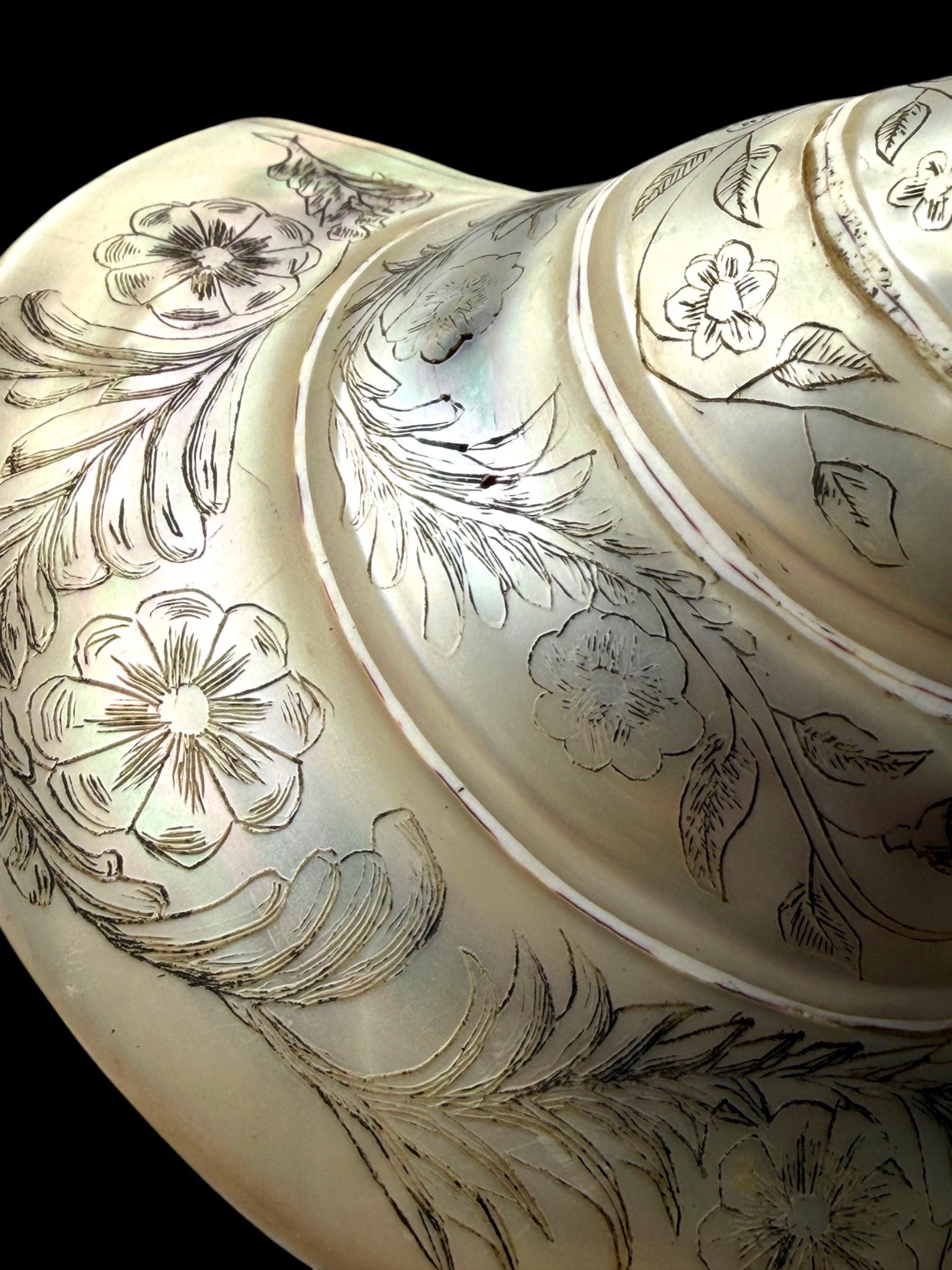 Hand-engraved Top Shell. 19th Century.