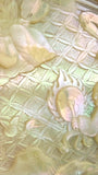 Qing Dynasty Carved Nautilus Shell Box